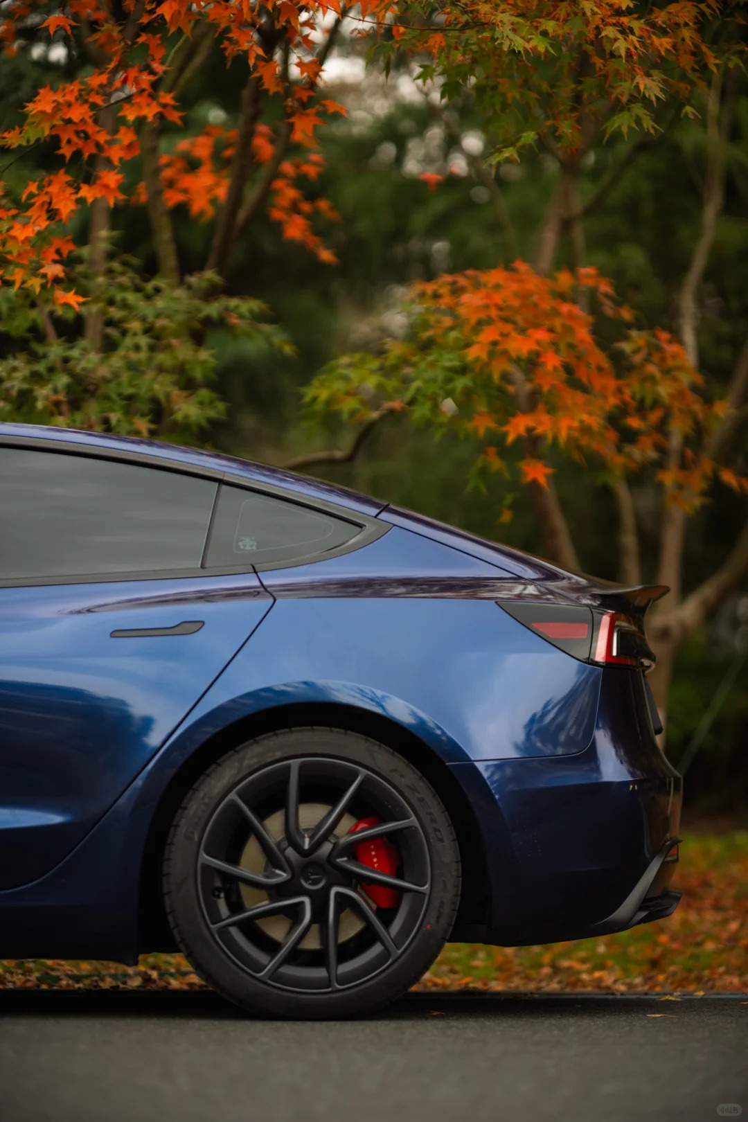 Ravoony Plus PET BMW Gloss Phytonic Blue Vinyl Car Wrap review Sophie Lowe 02