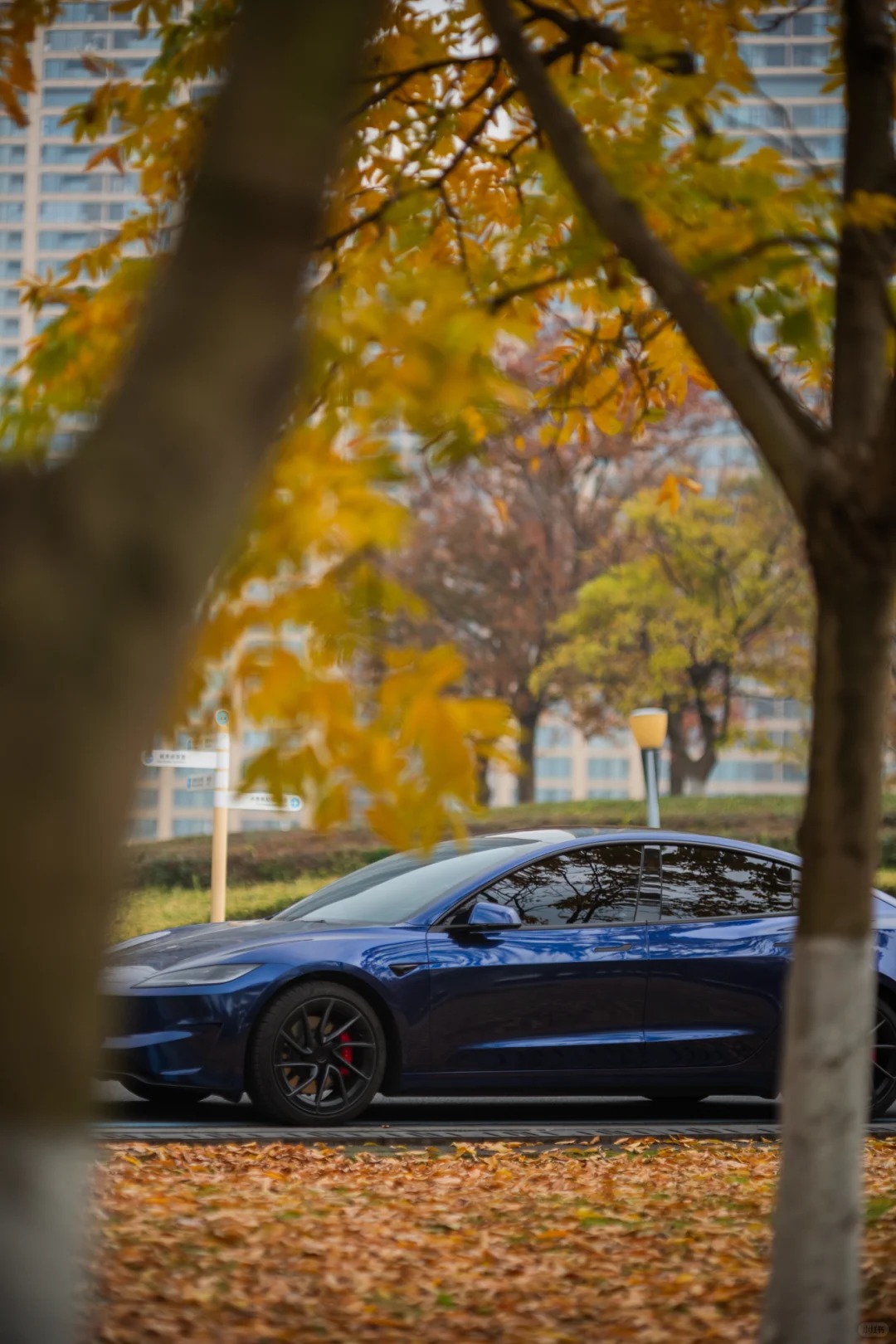 Ravoony Plus PET BMW Gloss Phytonic Blue Vinyl Car Wrap review Sophie Lowe 05