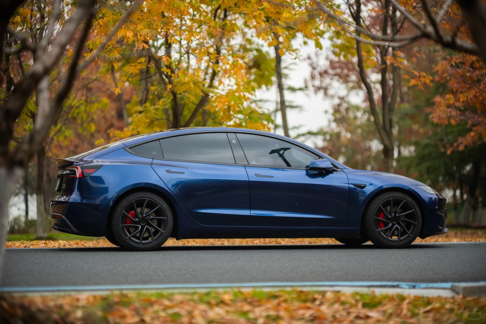 Ravoony Plus PET BMW Gloss Phytonic Blue Vinyl Car Wrap review Sophie Lowe 04