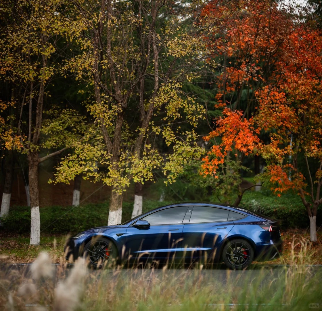 Ravoony Plus PET BMW Gloss Phytonic Blue Vinyl Car Wrap review Sophie Lowe 03