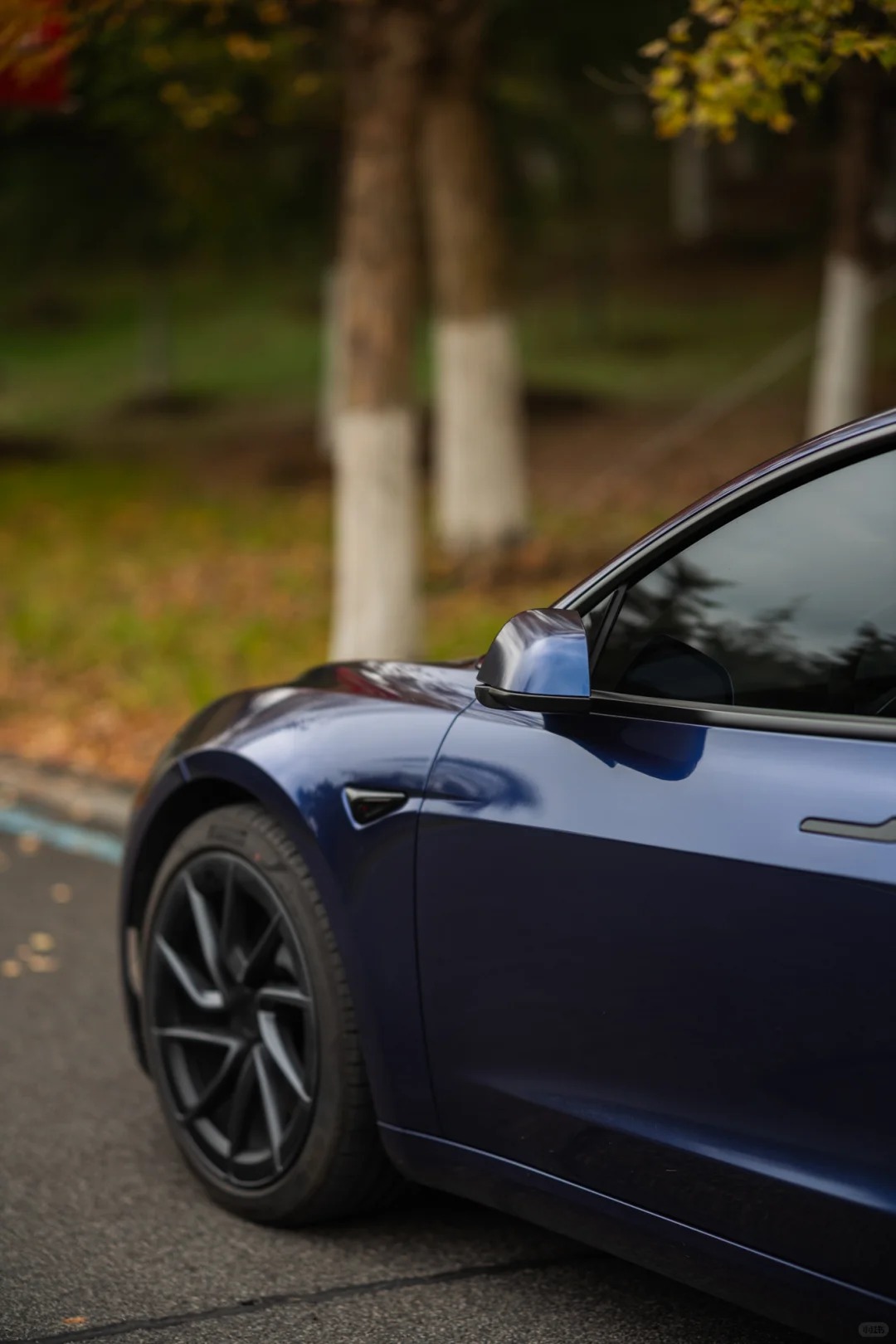 Ravoony Plus PET BMW Gloss Phytonic Blue Vinyl Car Wrap review Sophie Lowe 06