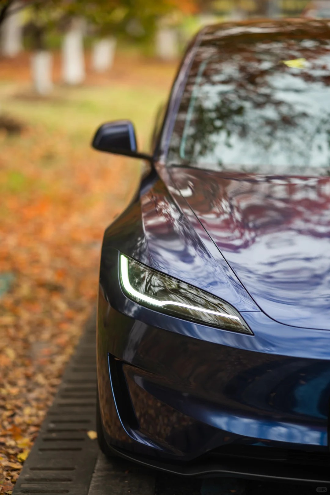 Ravoony Plus PET BMW Gloss Phytonic Blue Vinyl Car Wrap review Sophie Lowe 01