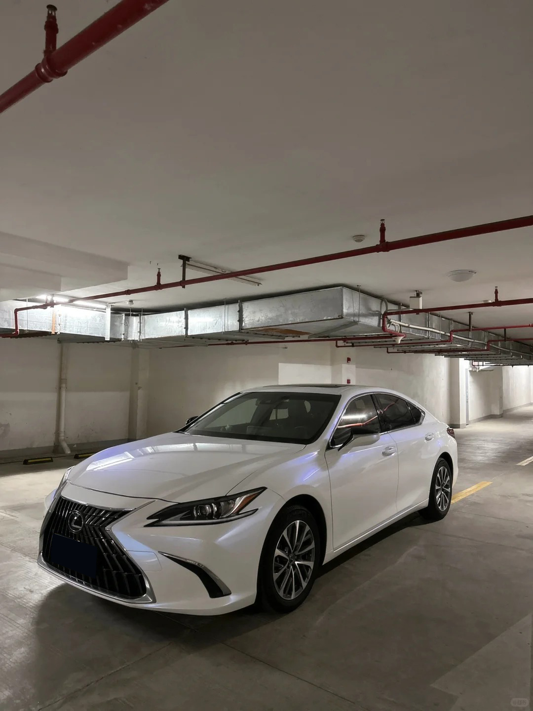 Ravoony Plus PET Glossy White to Blue Car Vinyl Wrap review Zoe Richardson 00