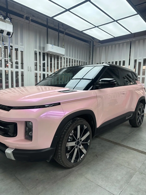 Ravoony Plus PET Twin Magic Pink Car Vinyl Wrap review 