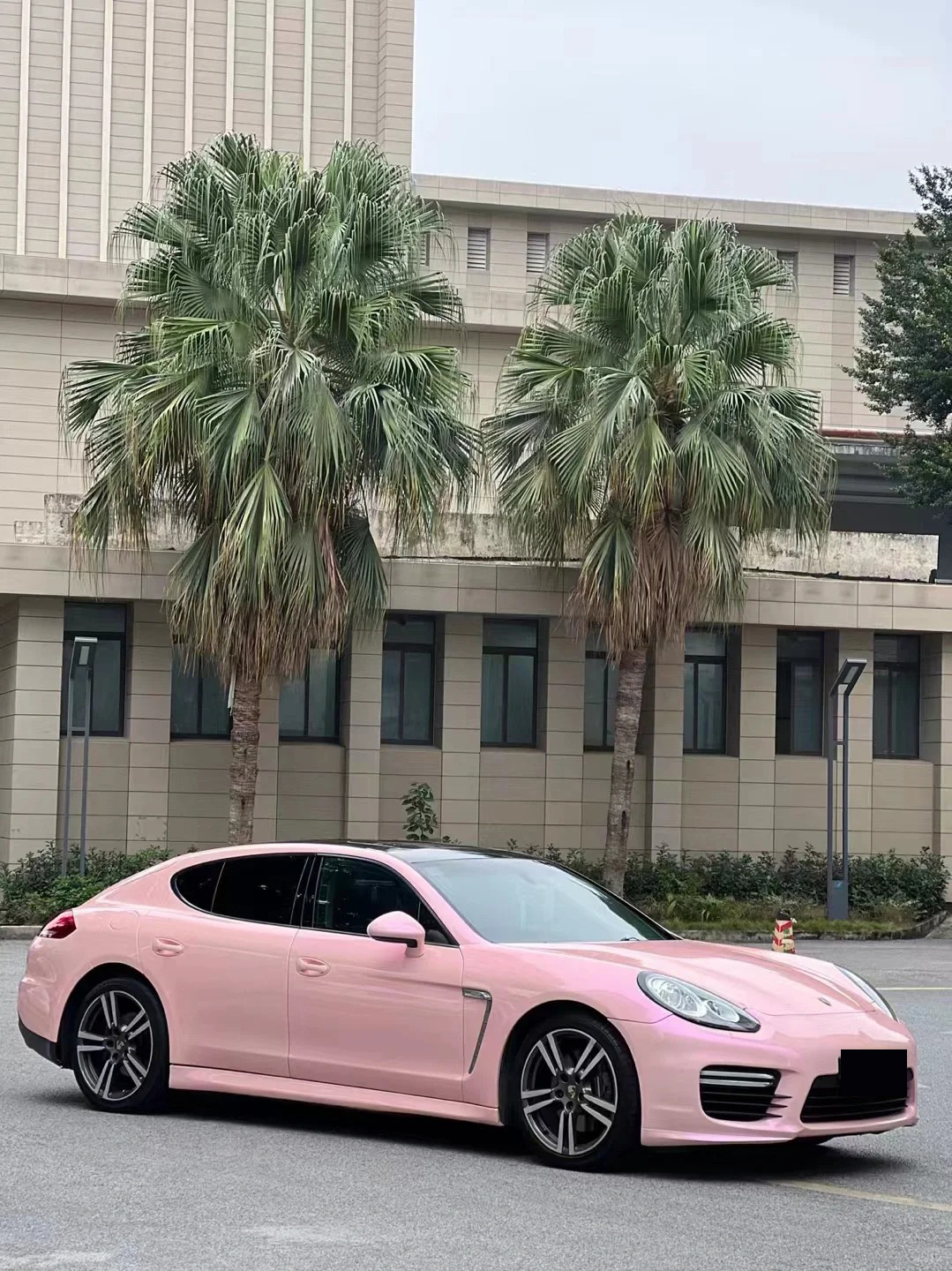 Ravoony Plus PET Twin Magic Pink Car Vinyl Wrap review Noah Patterson 01