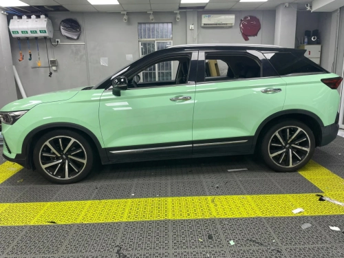 Ravoony Plus PET Ferrari Gloss Moss Green Vinyl Car Wrap review 