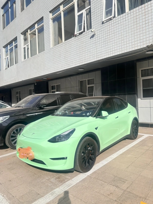 Ravoony Plus PET Ferrari Gloss Moss Green Vinyl Car Wrap review 