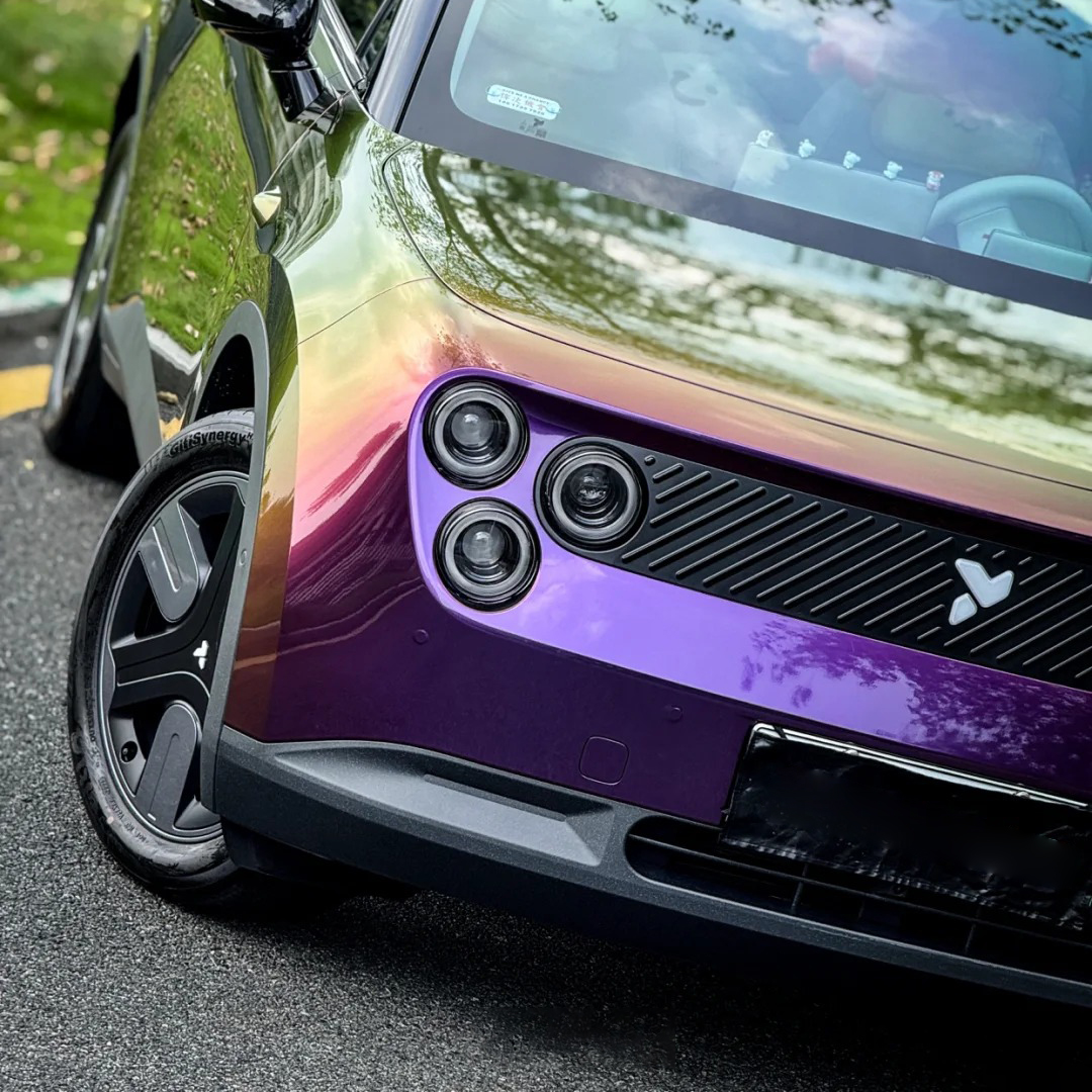 Ravoony Plus PET Gloss Magic Colored Purple Chameleon Wrap review James Morgan 02