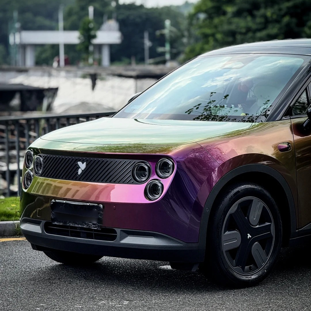 Ravoony Plus PET Gloss Magic Colored Purple Chameleon Wrap review James Morgan 03