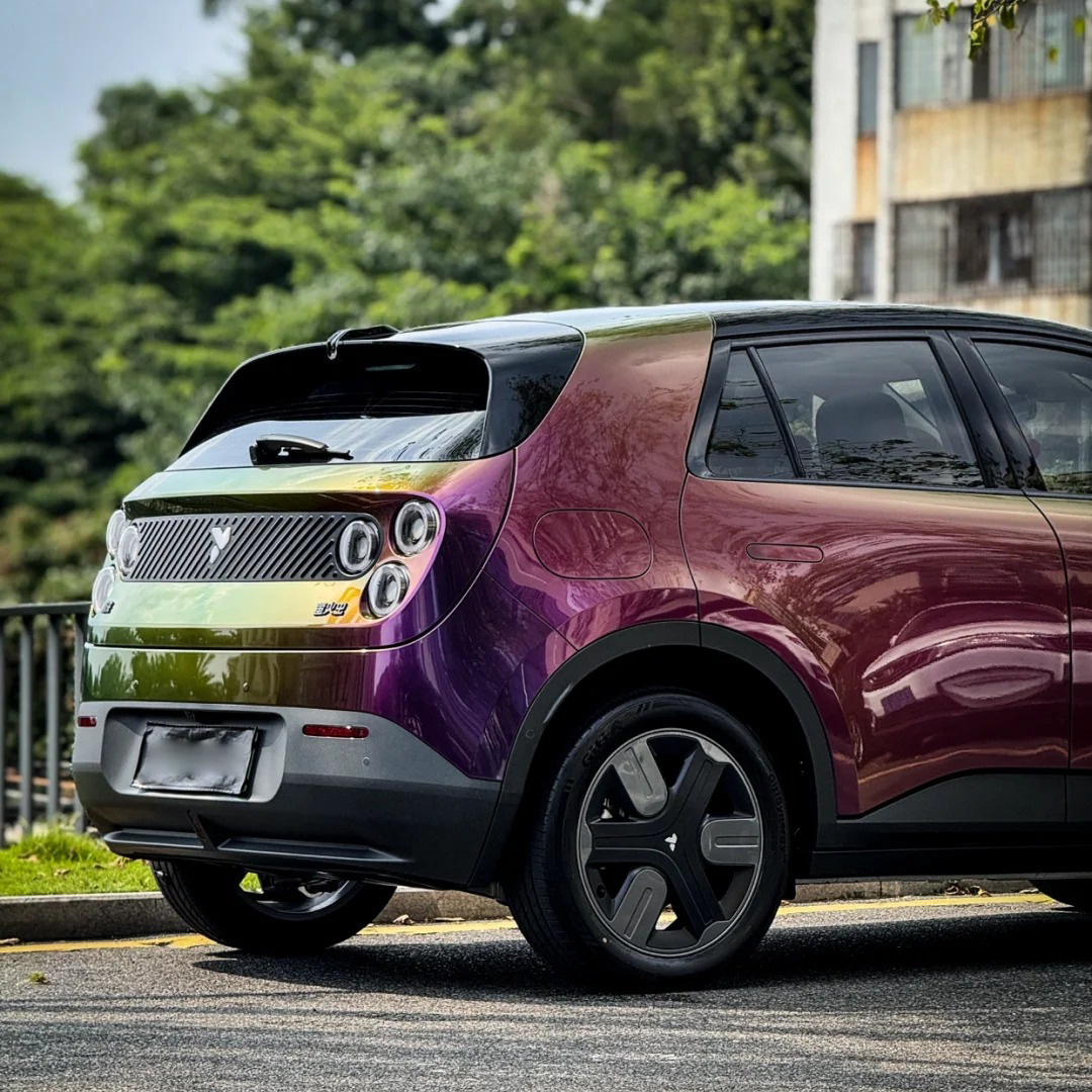 Ravoony Plus PET Gloss Magic Colored Purple Chameleon Wrap review James Morgan 08