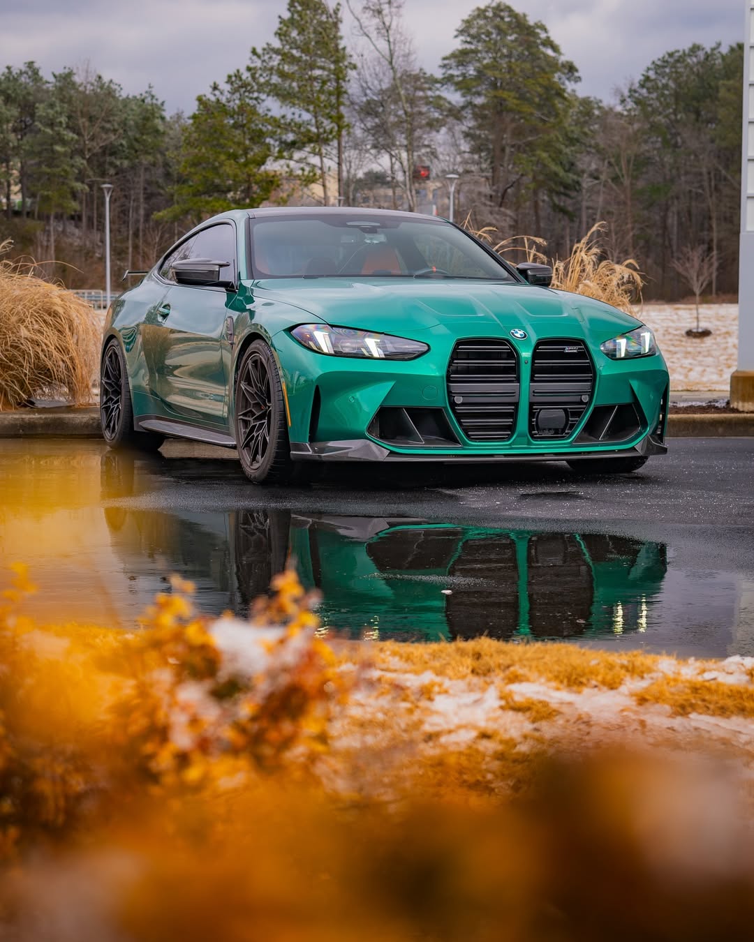 Ravoony Plus Gloss Paint Metallic Isle Of Man Green Car Vinyl Wrap review Daniel Mitchell 00