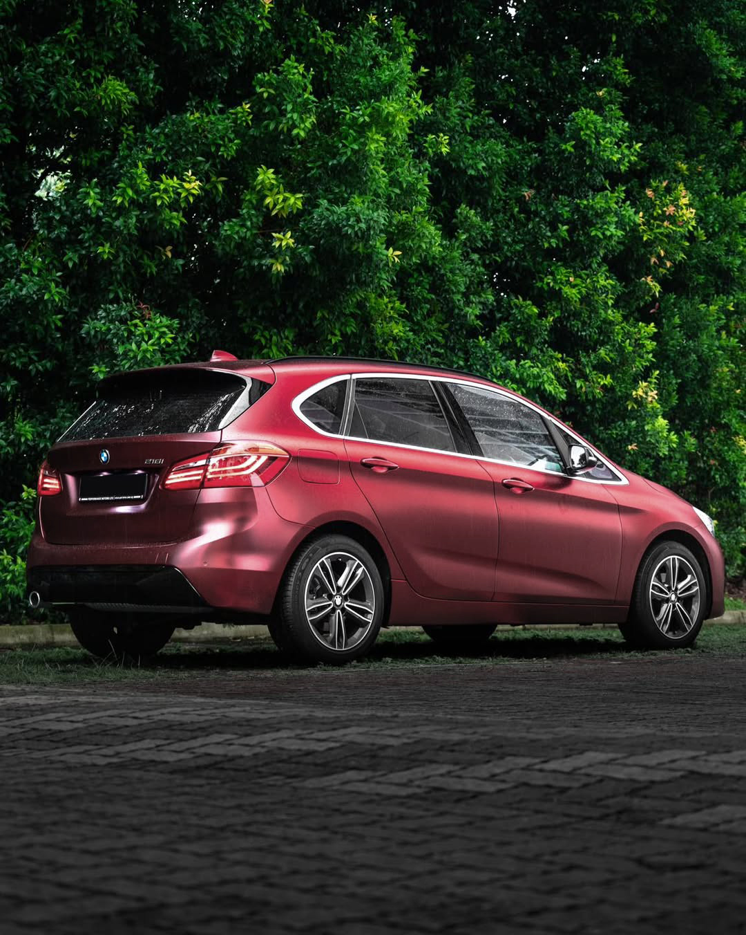 Ravoony Plus PET Matte Chrome Romanee Red Vinyl Car Wrap review Grace Simmons 00