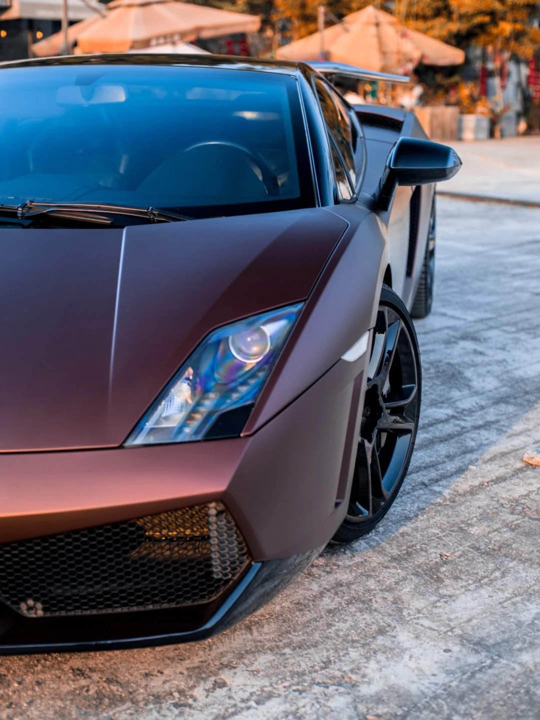 Ravoony Plus Ultimate Flat Coffee Brown Car Wrap review Zara Al-Mansoori 04