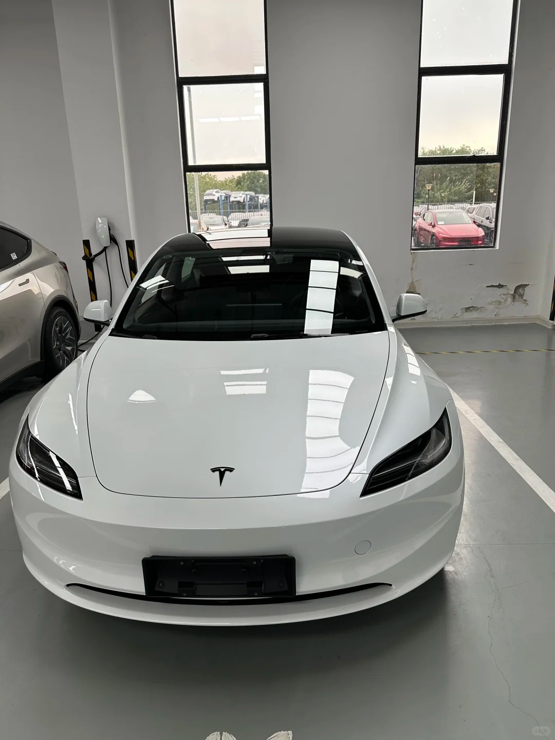 Ravoony Pro TPU Gloss Crystal White PPF Film review Maya Vanderloo