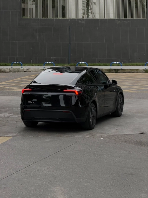 Ravoony Pro TPU Super Glossy Black PPF Film review 