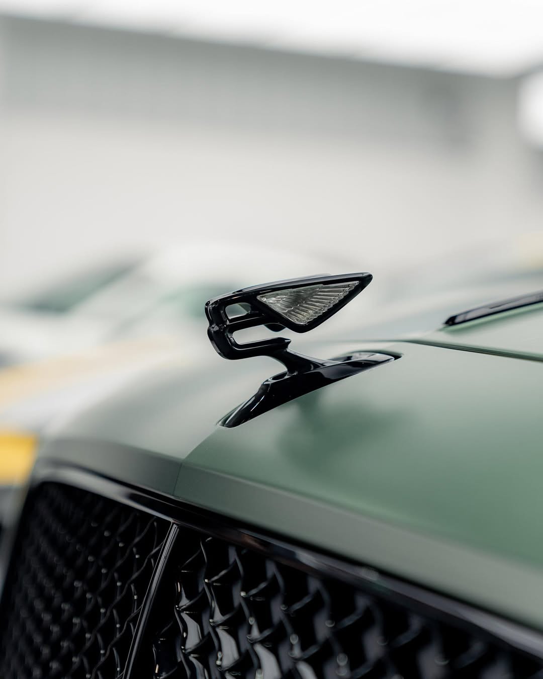 Ravoony Plus Matte PPF Paint Protection Film TPU 7.5mil review 2