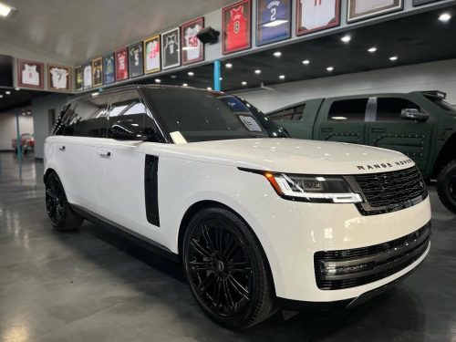 Ravoony Plus PET Crystal White Car Vinyl Wrap review 