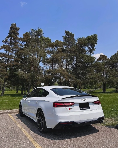 Ravoony Plus PET Crystal White Car Vinyl Wrap review 