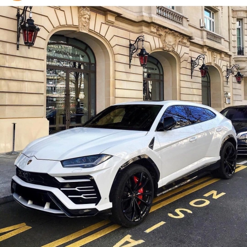 Ravoony Plus PET Gloss White Car Wrap review 