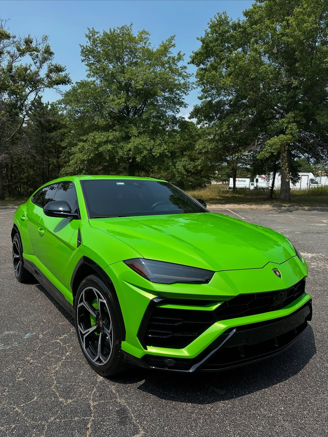 Ravoony Plus Lime Green Vinyl Wrap review Sophia Reed