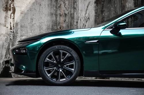   Ravoony Plus PET Glossy Royal Green Vinyl Car Wrap review 