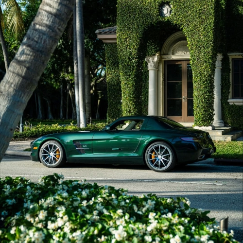   Ravoony Plus PET Glossy Royal Green Vinyl Car Wrap review 