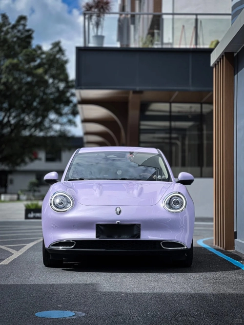 Ravoony Pro TPU Glossy Metallic Violet Star PPF Film review 