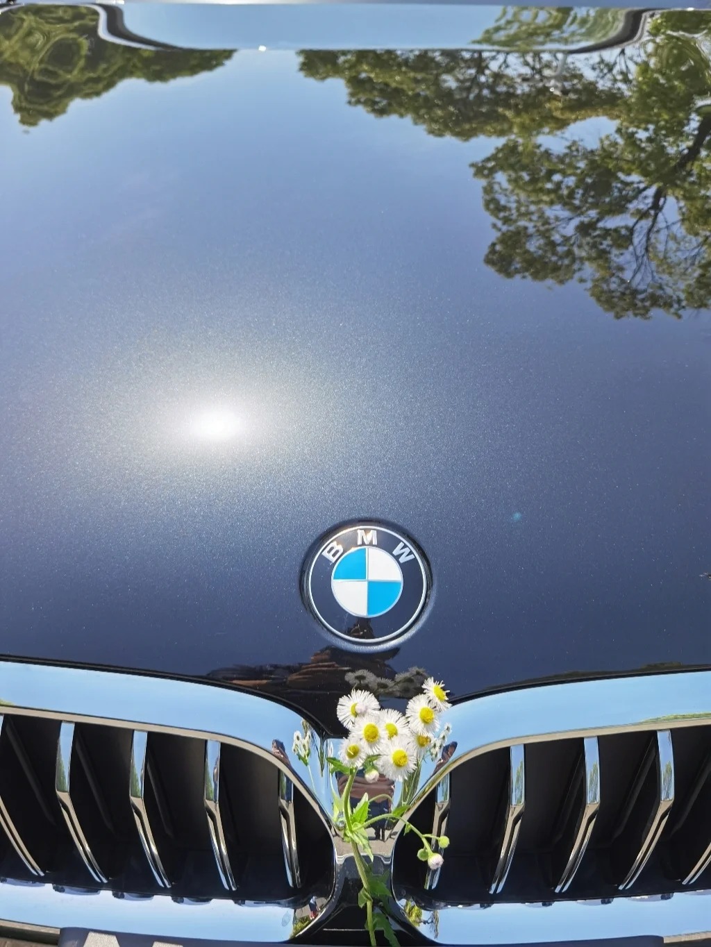 Ravoony Plus PET Gloss BMW Tanzanite Blue Car Vinyl Wrap review AMY CHEN