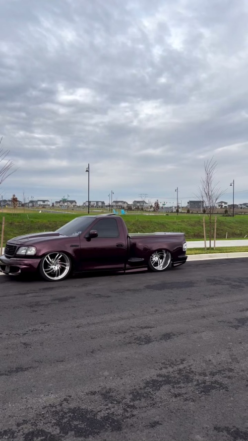 Ravoony Plus PET Gloss Black Rose Vinyl Wrap review 