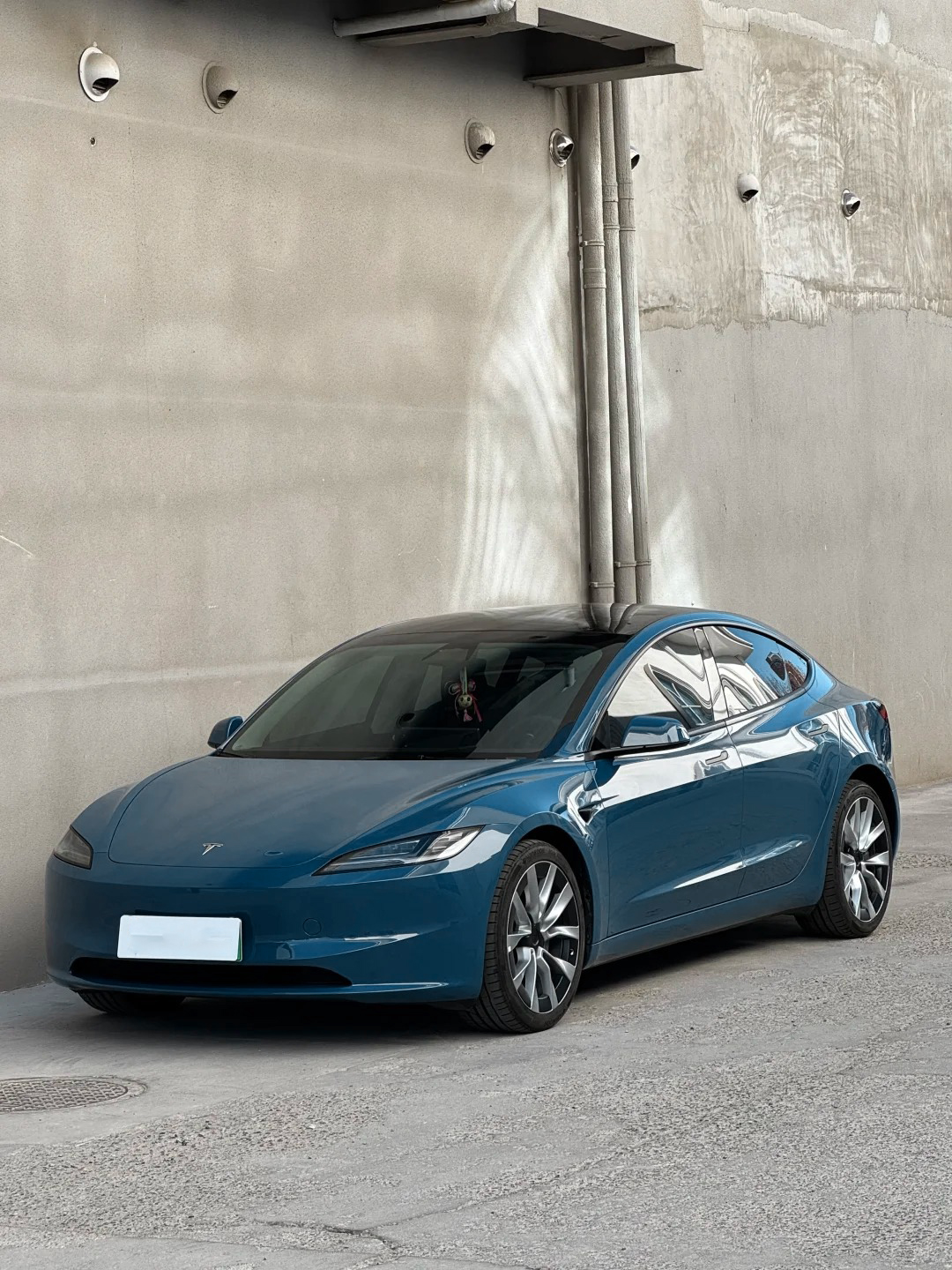 Ravoony Basic PET Gloss Butterfly Valley Blue Vinyl Car Wrap review Vivid Basics Pro 00