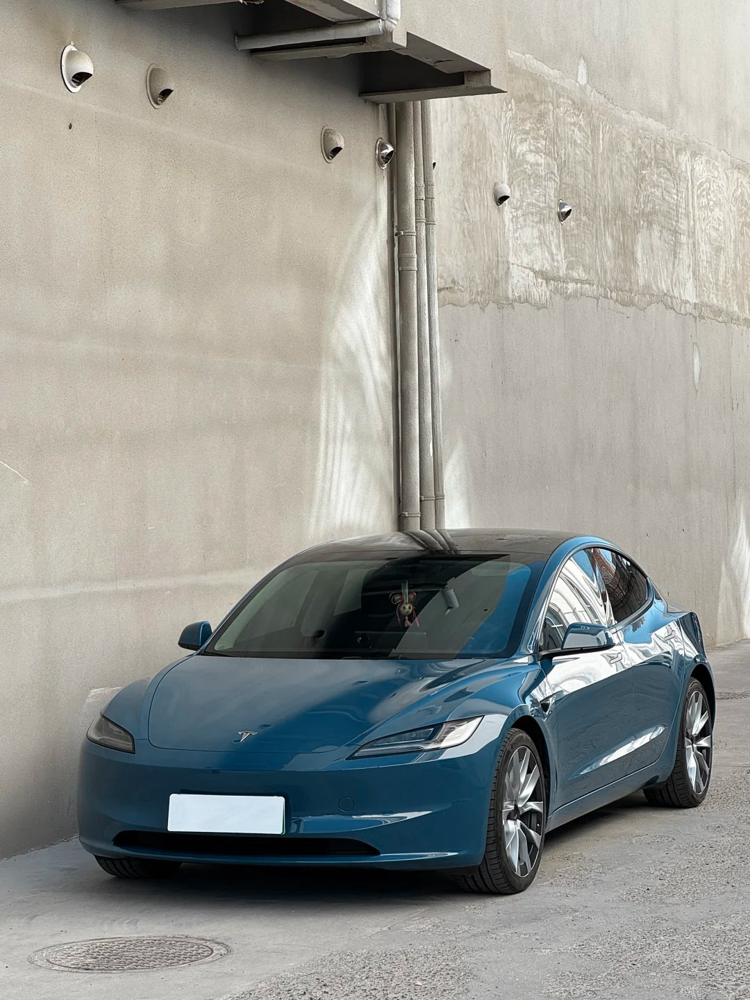 Ravoony Basic PET Gloss Butterfly Valley Blue Vinyl Car Wrap review Vivid Basics Pro 01