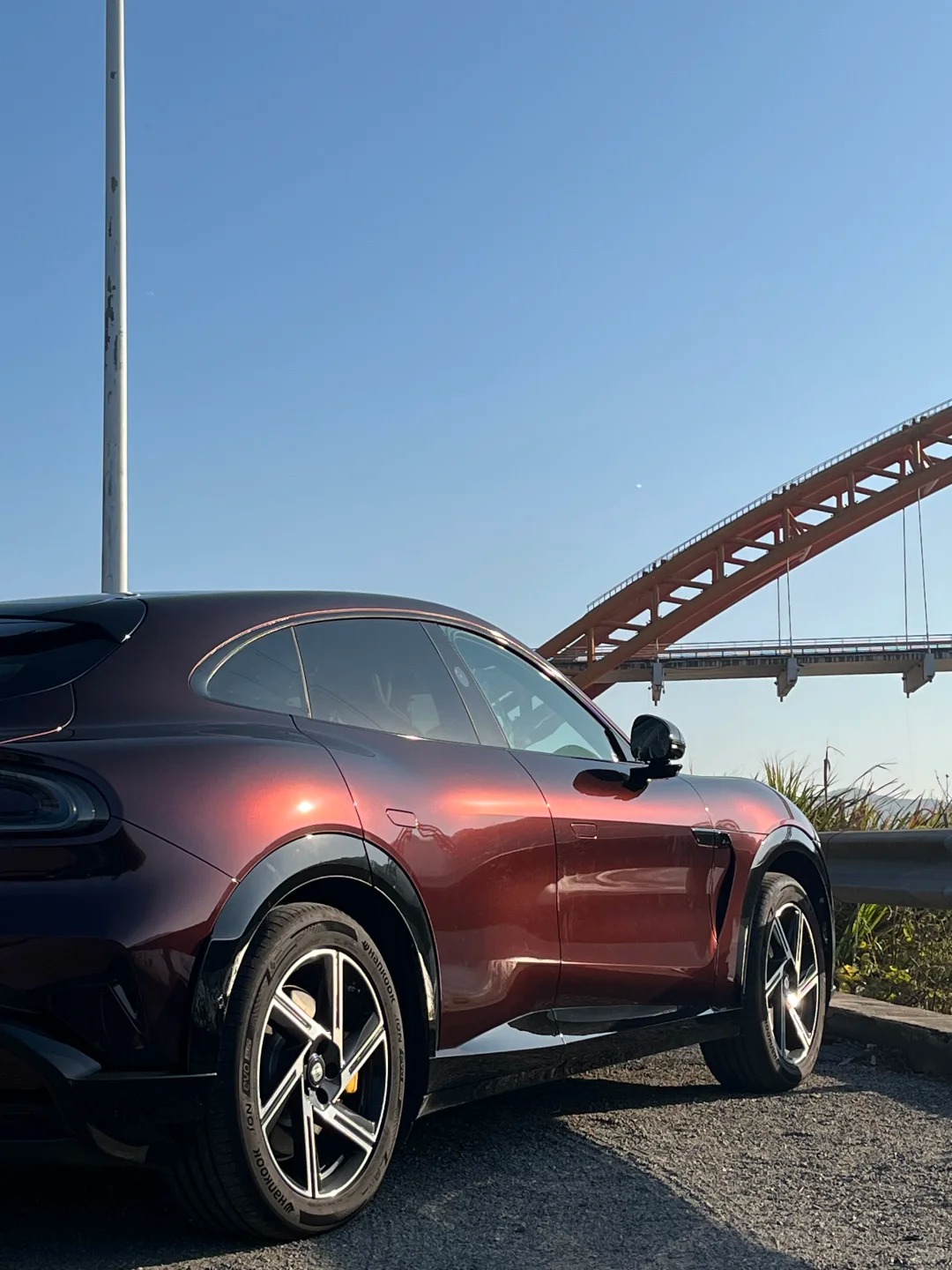 Ravoony Plus PET Gloss Black Rose Vinyl Wrap review Velvet Noir Wraps 00