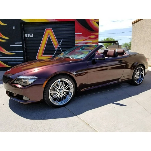 Ravoony Plus PET Gloss Black Rose Vinyl Wrap review 