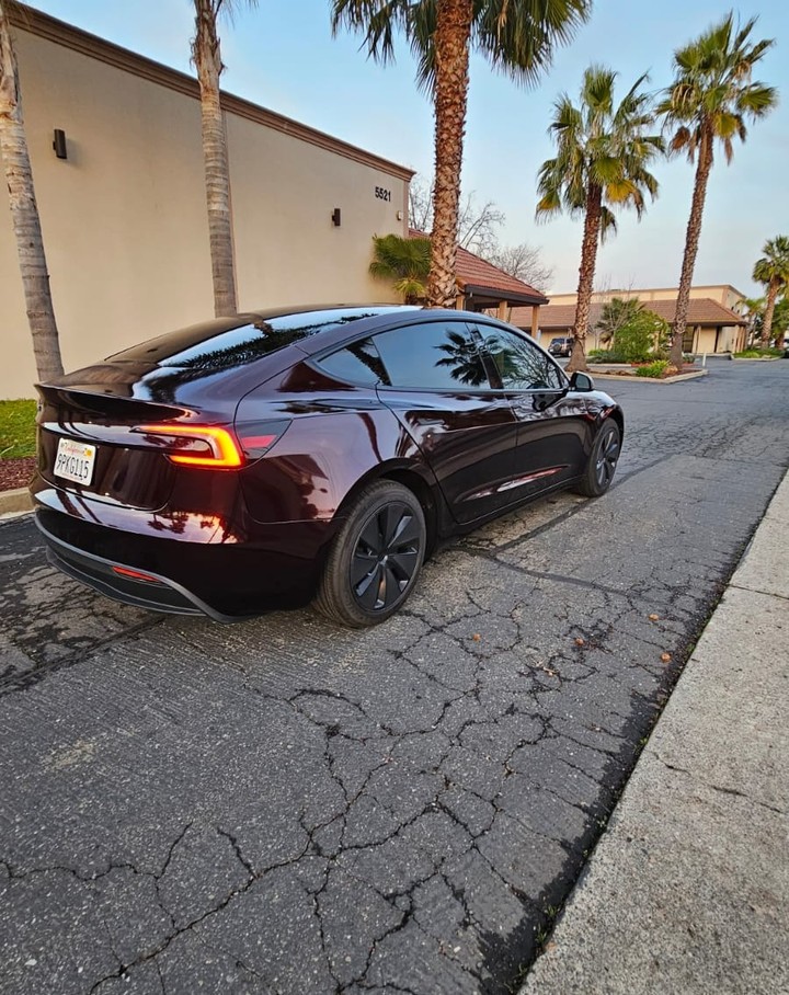 Ravoony Plus PET Gloss Black Rose Vinyl Wrap review Onyx Valentine 02