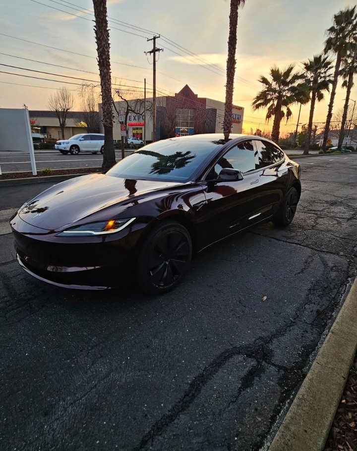 Ravoony Plus PET Gloss Black Rose Vinyl Wrap review Onyx Valentine 03