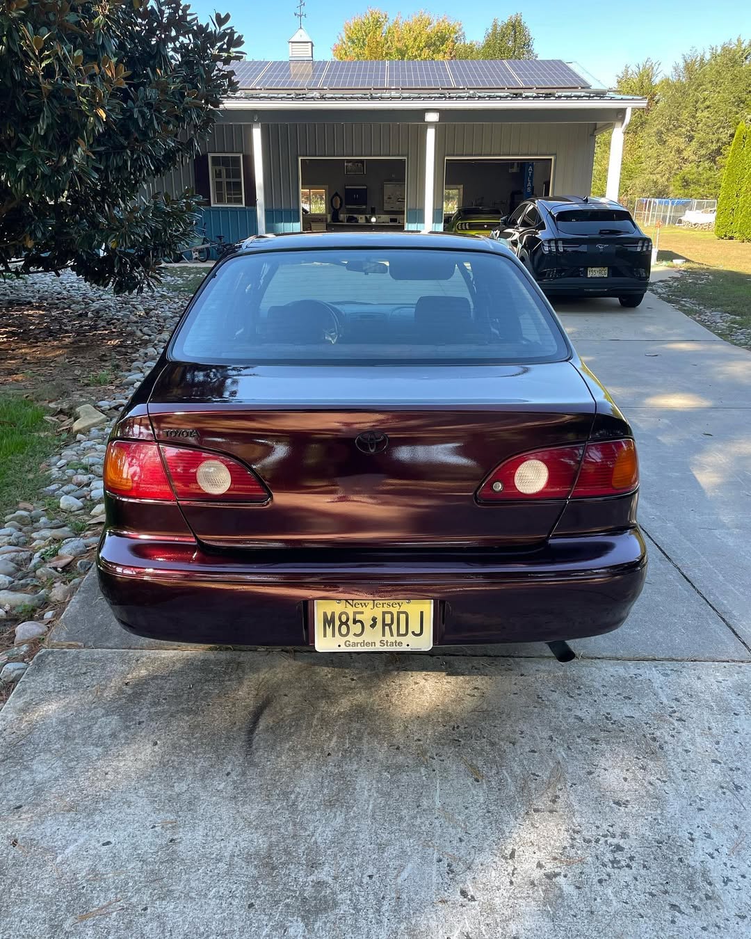 Ravoony Plus PET Gloss Black Rose Vinyl Wrap review Bordeaux Chen 00