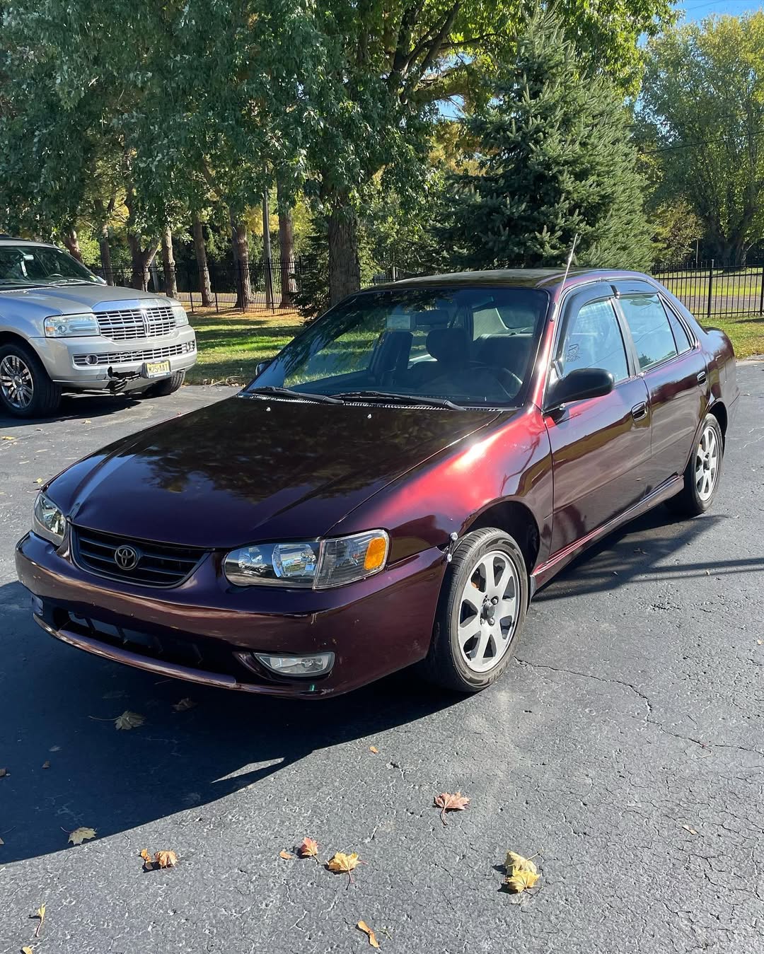 Ravoony Plus PET Gloss Black Rose Vinyl Wrap review Bordeaux Chen 01