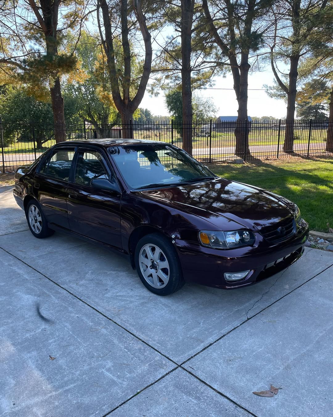 Ravoony Plus PET Gloss Black Rose Vinyl Wrap review Bordeaux Chen 03