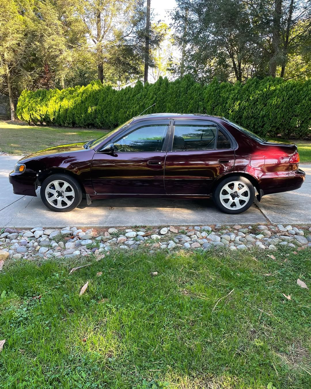 Ravoony Plus PET Gloss Black Rose Vinyl Wrap review Bordeaux Chen 02