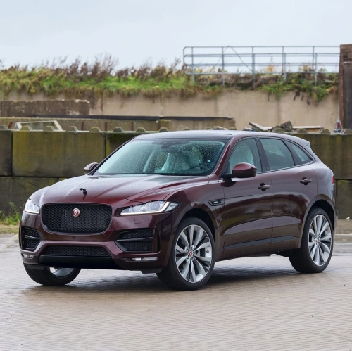 Ravoony Plus PET Gloss Black Rose Vinyl Wrap review 