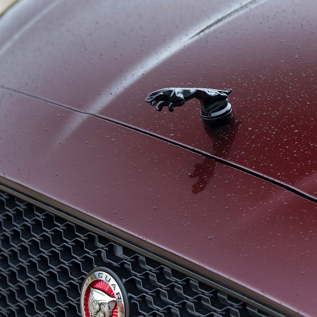 Ravoony Plus PET Gloss Black Rose Vinyl Wrap review Garnet Pierce 06