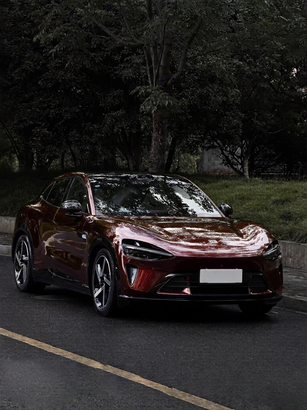 Ravoony Plus PET Gloss Black Rose Vinyl Wrap review Cabernet Coatings 00