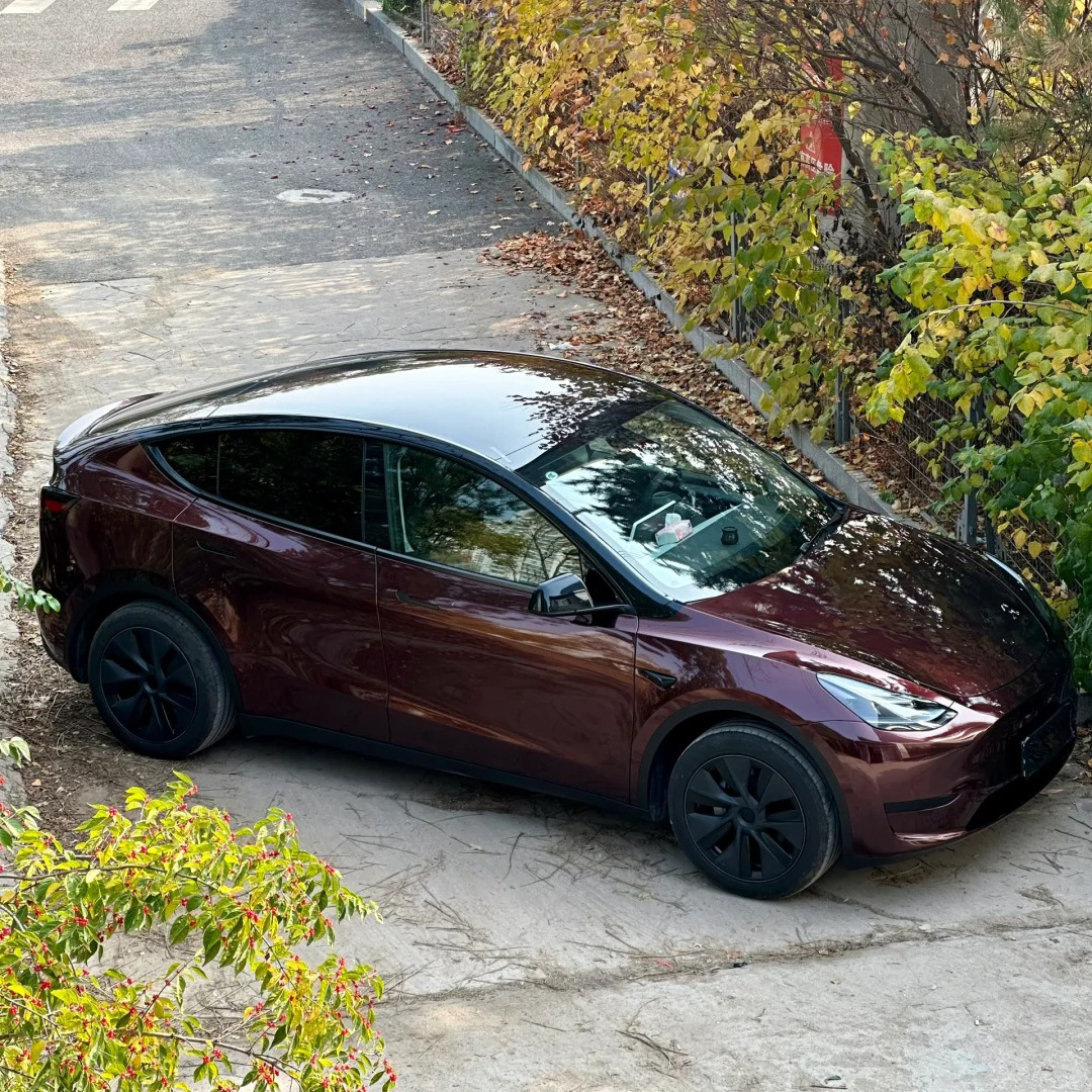 Ravoony Plus PET Gloss Black Rose Vinyl Wrap review Scarlett jones