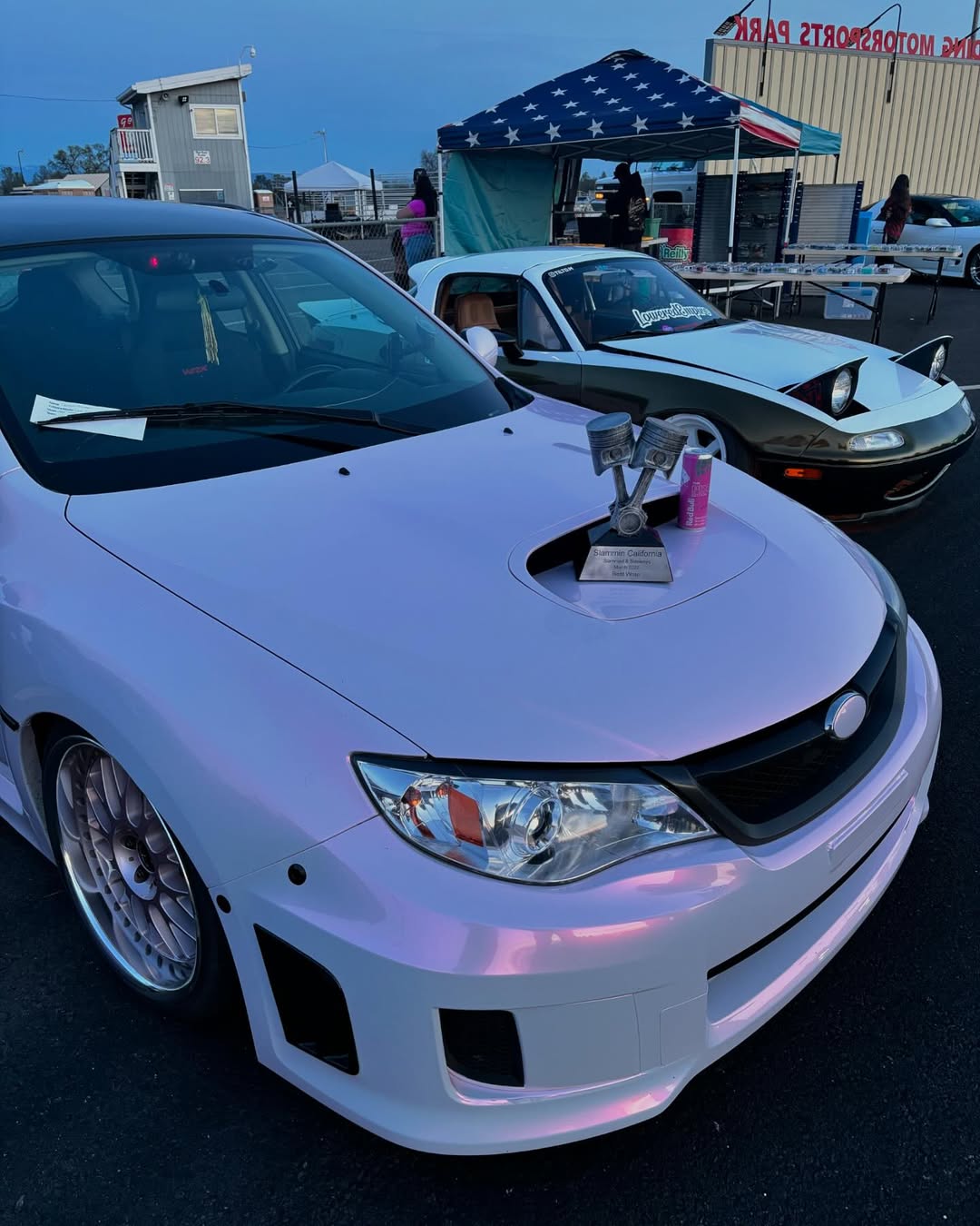 Ravoony Plus Glossy Flower Pink Car Wrap review delilah.shimer 03