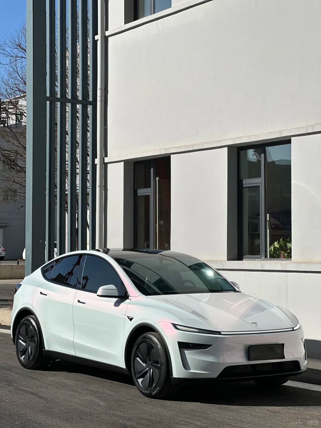  Ravoony Plus PET Glossy White to Pink Car Wrap review Lily Cloud 00