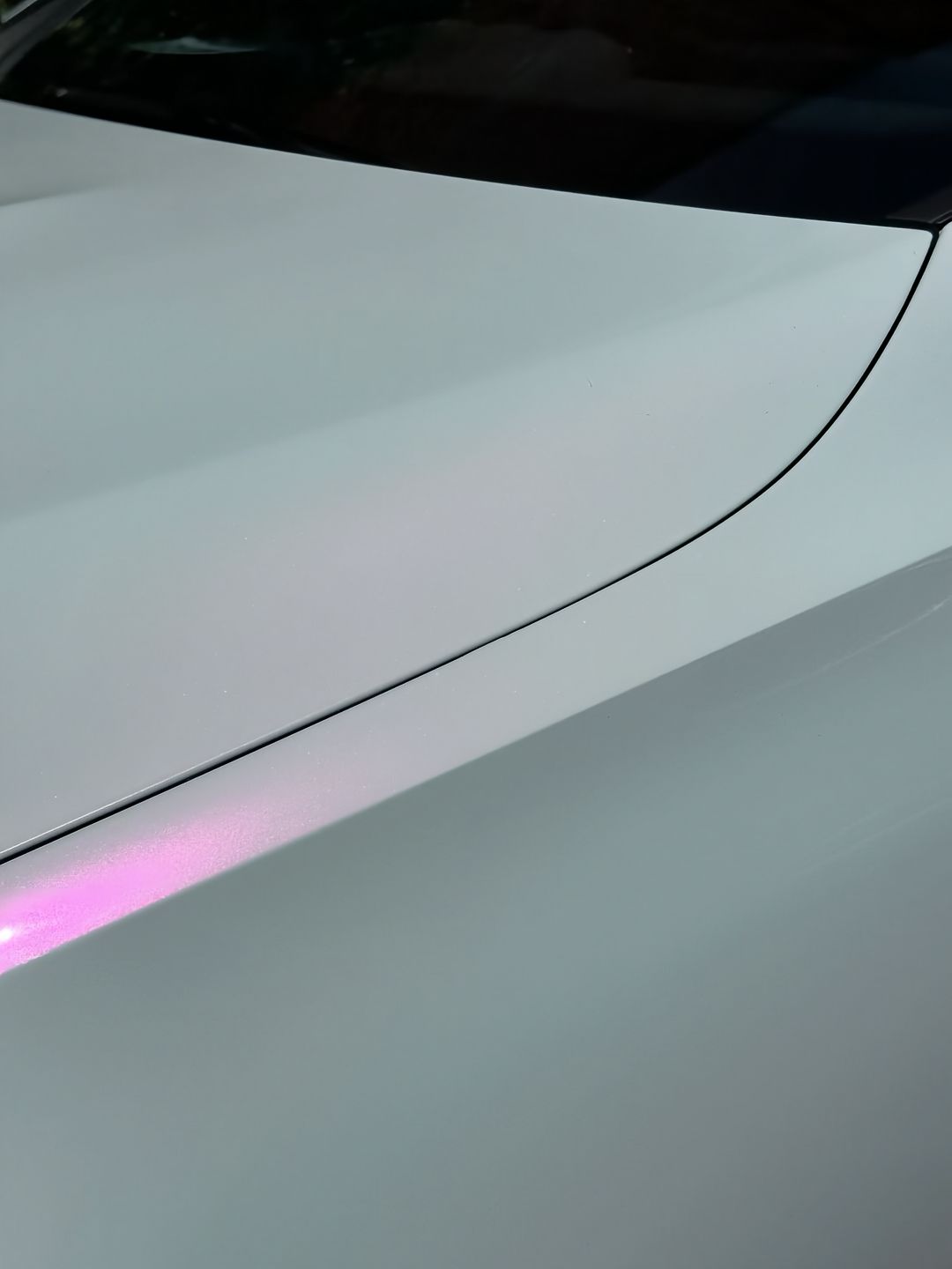 Ravoony Plus PET Matte White To Pink Car Vinyl Wrap review Bianca Frost 04