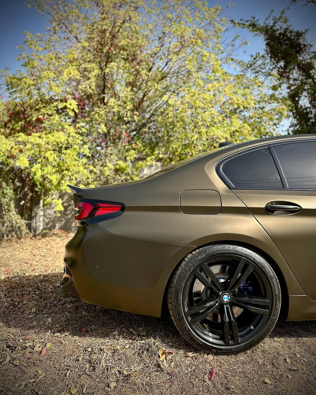 Ravoony Pro TPU Satin Gold Green Color PPF Film review Gilded Forest Garage 01