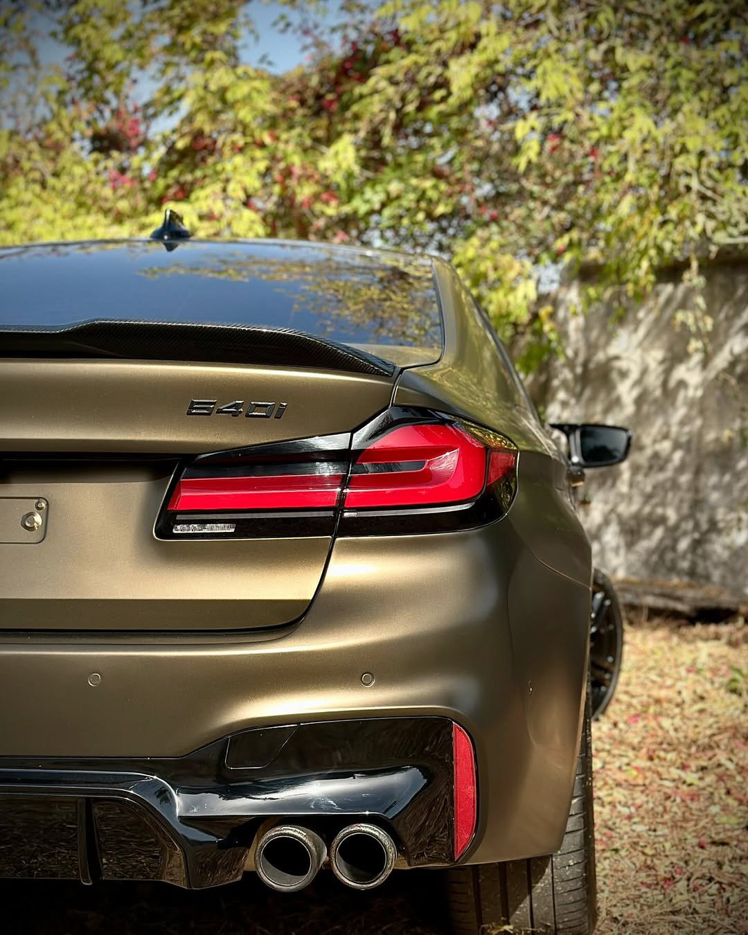 Ravoony Pro TPU Satin Gold Green Color PPF Film review Gilded Forest Garage 03