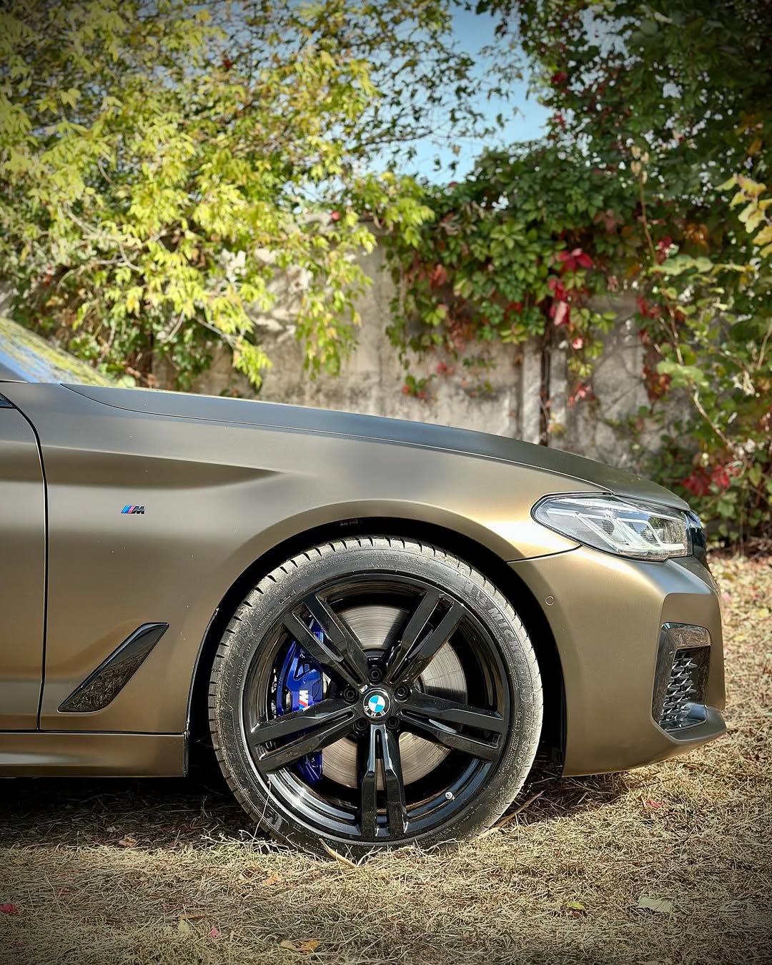 Ravoony Pro TPU Satin Gold Green Color PPF Film review Gilded Forest Garage 04