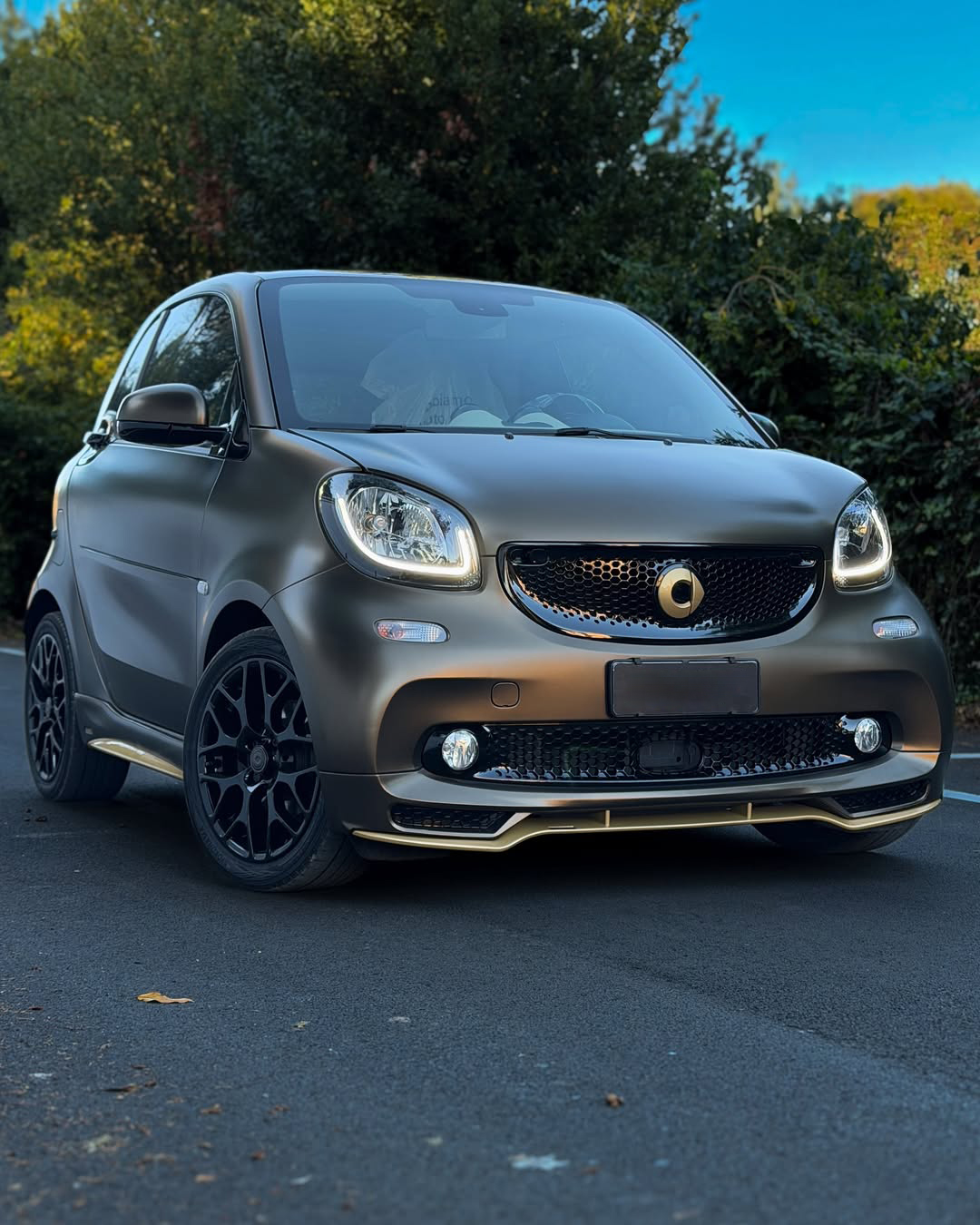 Ravoony Pro TPU Satin Gold Green Color PPF Film review Fern Gatsby 01